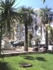 Palmen an der Croisette