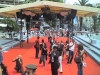 Roter Teppich